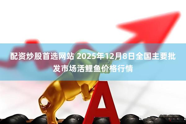 配资炒股首选网站 2025年12月8日全国主要批发市场活鲤鱼价格行情