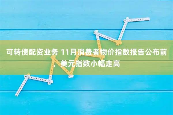 可转债配资业务 11月消费者物价指数报告公布前，美元指数小幅走高