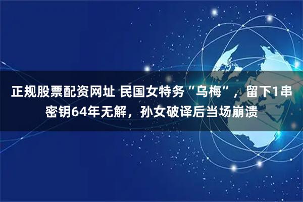 正规股票配资网址 民国女特务“乌梅”,留下1串密钥64年无解,孙女破译后当场崩溃