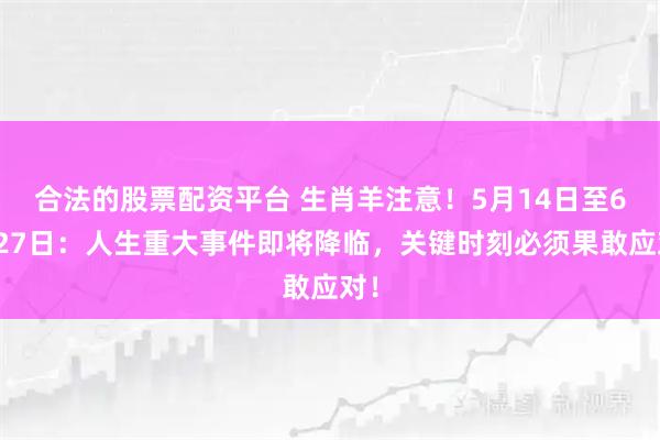 合法的股票配资平台 生肖羊注意！5月14日至6月27日：人生重大事件即将降临，关键时刻必须果敢应对！